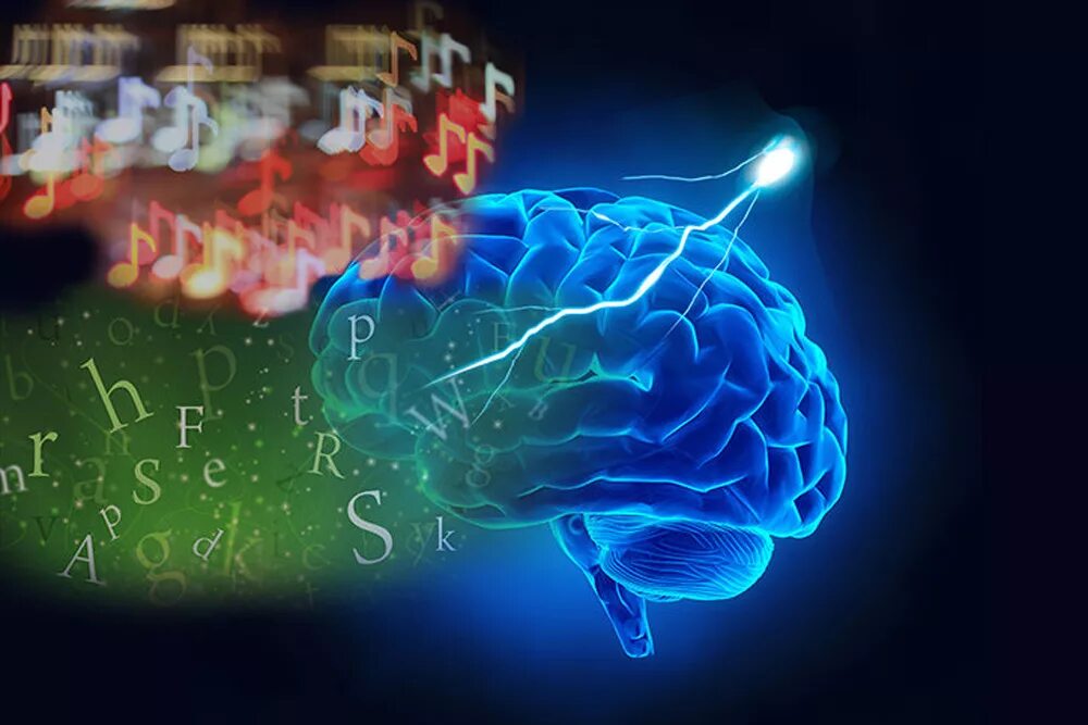 Самый быстрый мозг. Нейробиология и физика. Когнитивная нейробиология. Нейробиология арт на рабочий стол. Мозг и речь.