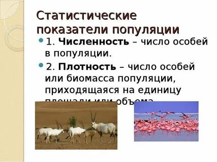 2 экологическая популяция