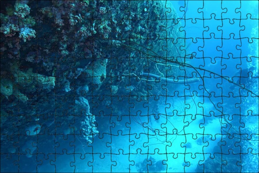 Море дайвинг. Марианский жёлоб океанические впадины. Море под водой. Марианский жёлоб океанические впадины. Исследование морского дна.
