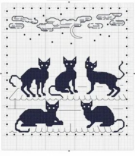 Схема черного кота