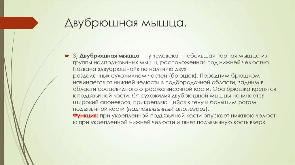 Каким образом г в. Биологическое значение амитоза. Значение митоза. Амитоз его особенности и значение. Амитоз и его биологическое значение.