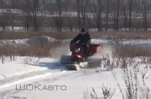 Мотосани муравей. Мотороллер муравей снегоход. Мотосани муравей. Мотосани муравей. Мотороллер муравей на гусеницах.