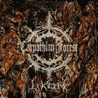 Carpathian forest