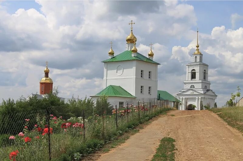 Свято дмитриевский монастырь скопин. Скопинский дмитриевский монастырь. Дмитриевский монастырь в скопине. Сайт скопинского дмитриевского мужского монастыря. Дмитровский мужской монастырь скопин.