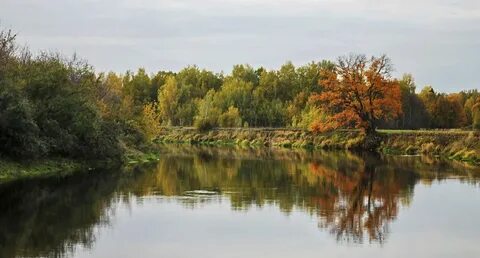 На сколько поднялась река клязьма в коврове
