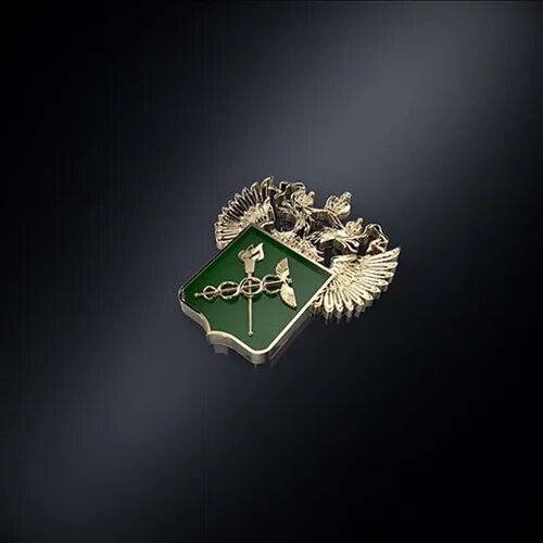 Руслан давыдов фтс. Федеральная таможенная служба (фтс россии). Таможня. Таможня фтс россии. Герб фтс россии.