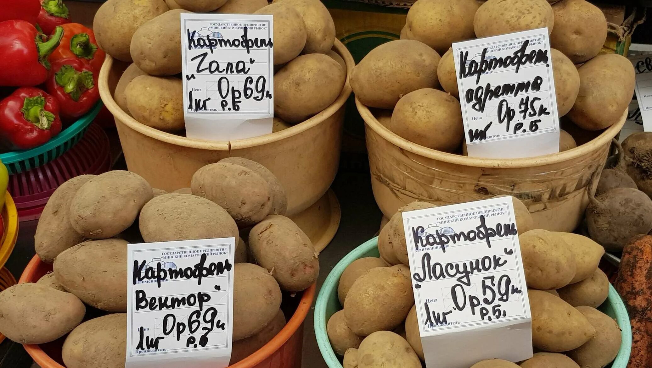 Купить овощи беларусь. Овощи на белорусском. Белорусские марки с овощами. Любимые овощи белорусов. Национальный овощ Беларуси.