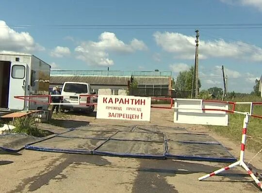 Новгород карантин. Нижегородские новости закрытие школ на карантин. Сколько больниц в нижнем новгороде. Новгород карантин. Интересное про швецию.