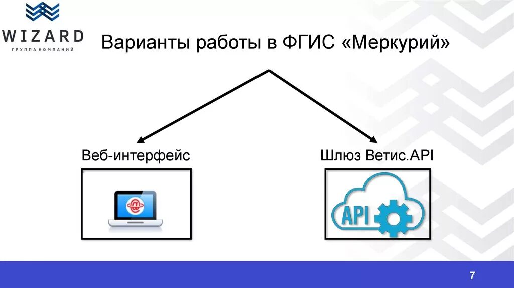 Апи меркурий. Ветис апи. фгис меркурий. шлюз ветис.api что это.