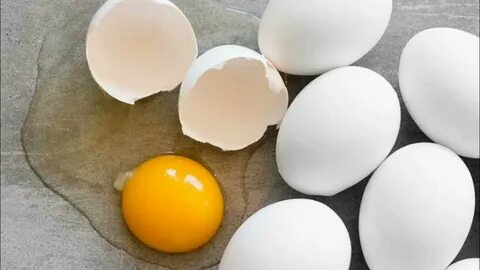 Egg now