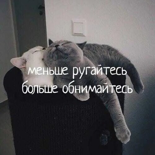 Давай не будем ругаться. Давай не будем никогда ругаться ведь можно полюбовно всё решить. Стих любимому после ссоры. Давай не будем ссориться стихи. Давай не ругаться картинки.