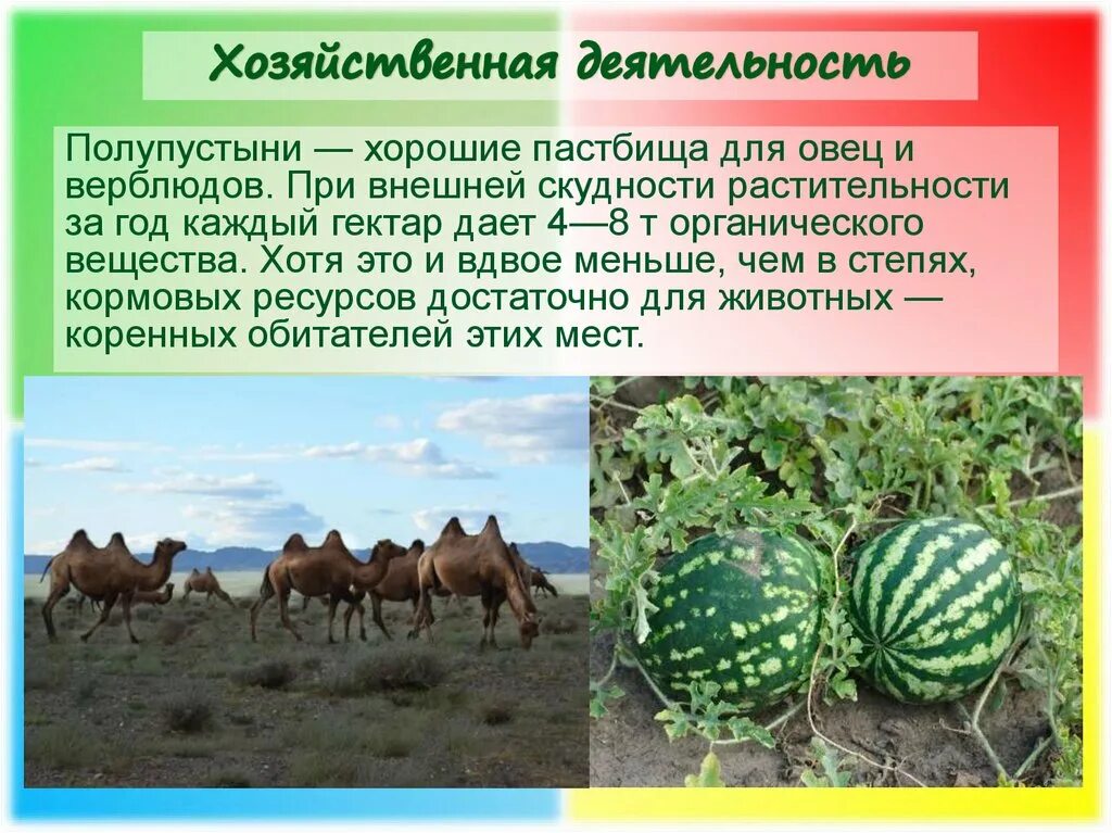 Хозяйственная деятельность в пустынях и полупустынях россии