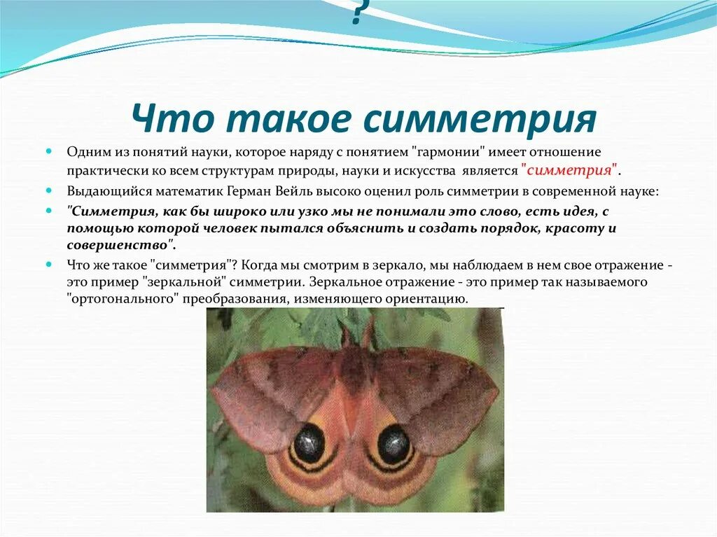 Какая есть симметрия. Симметрия. высказывания о симметрии. интересные факты о симметрии. симметричность.