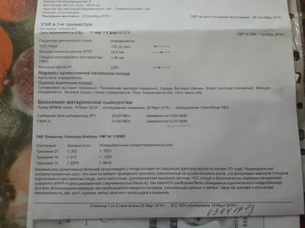 13 недель беременности норма