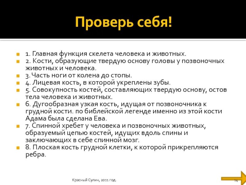 Тест функции скелета. Главная функция скелета человека и животных.