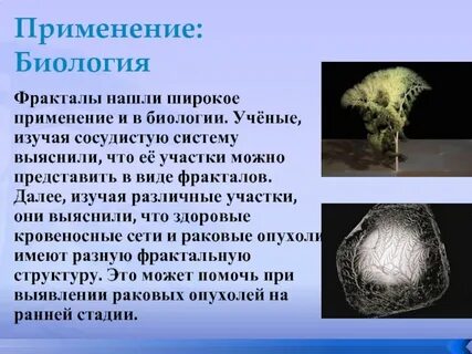 Примеры использования биологии