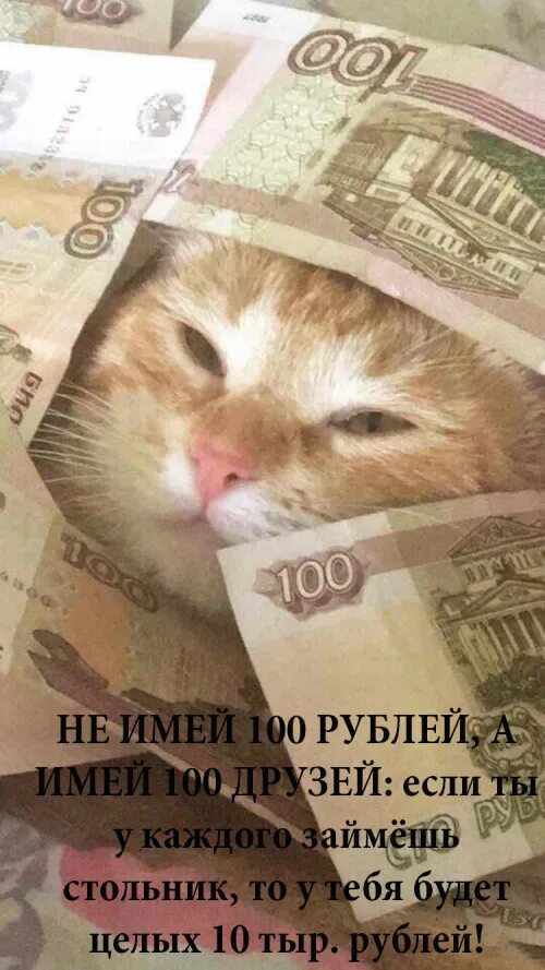 Деньги с котом 100 рублей. Денежный кот. Кот с деньгами. Кот с рублями.