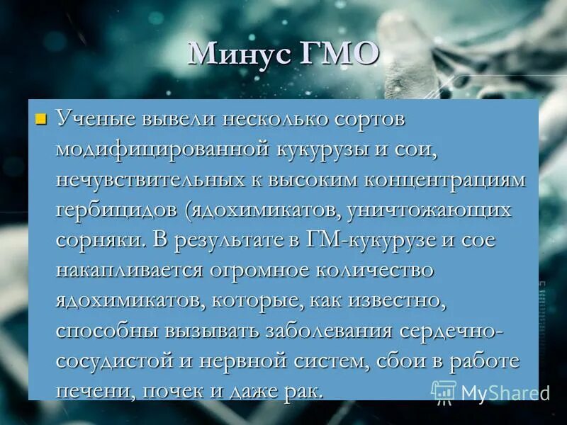 плюсы и минусы генетически модифицированных продуктов. минусы гмо. минусы гмо.