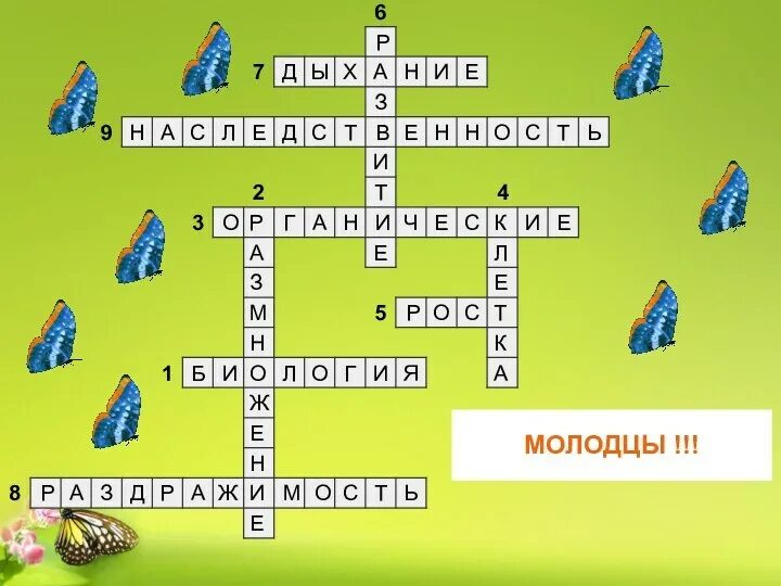 Кроссворд на тему факторы среды. Кроссворд по биологии на тему живые организмы. Кроссворд на тему царство живой природы. Кроссворд по биологии на тему живые организмы. Кроссворд по биологии на тему влияние окружающей среды.