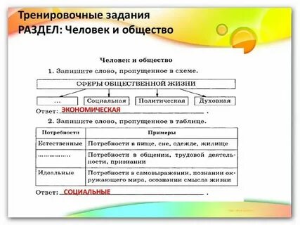 Виды домашнего задания по обществознанию