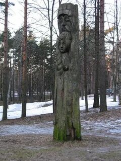 Памятник сосне