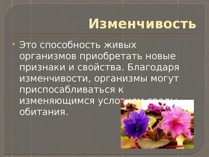 Общее свойство организмов это