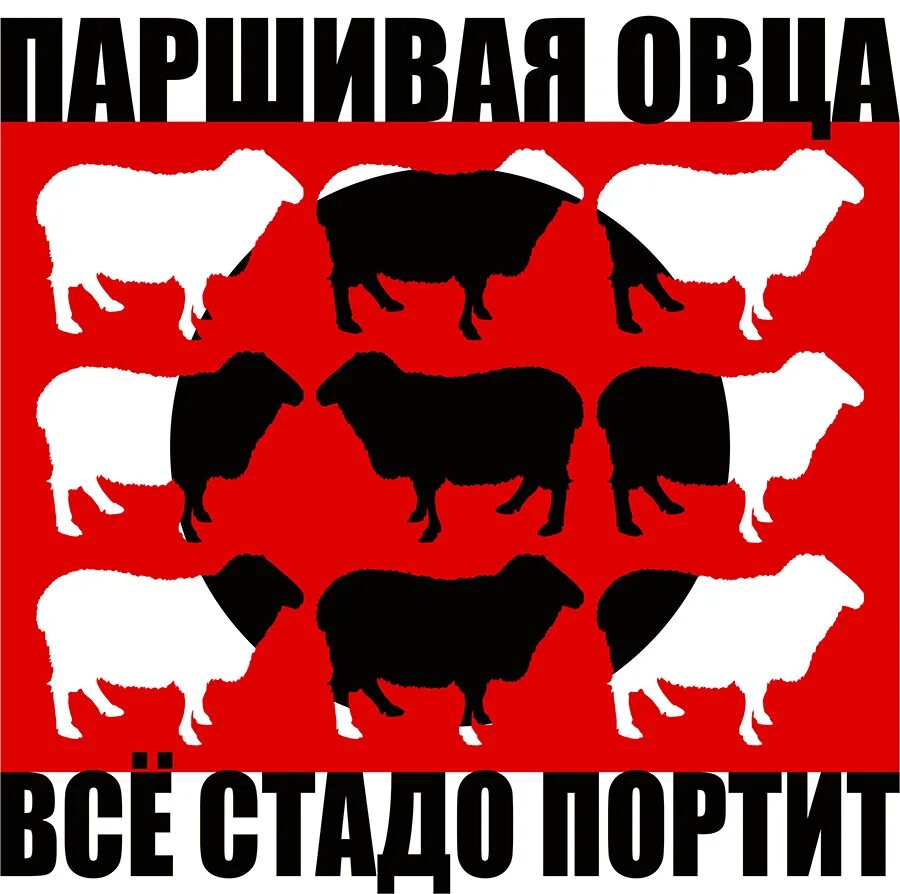 Портит стадо. Паршивая овца все стадо. Паршивая овца в стаде. Овца плакат.