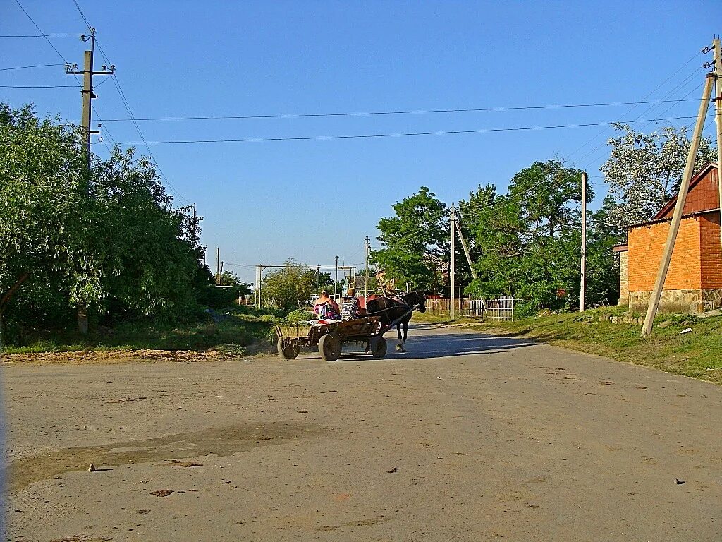 Деревня гнилуши долгопрудный. Поселок соколово кундрюченский новошахтинск. Казачья парка. Поселок соколово кундрюченский новошахтинск. Сквер мемориал фото соколово-кундрюченский.