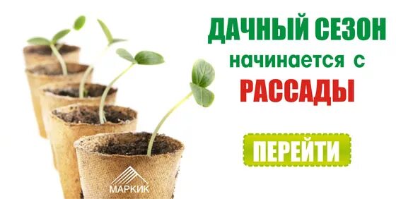 Рассада реклама. Готовимся к сезону рассады. Товары для рассады баннер. Рассада баннер реклама. Рассада пенза купить