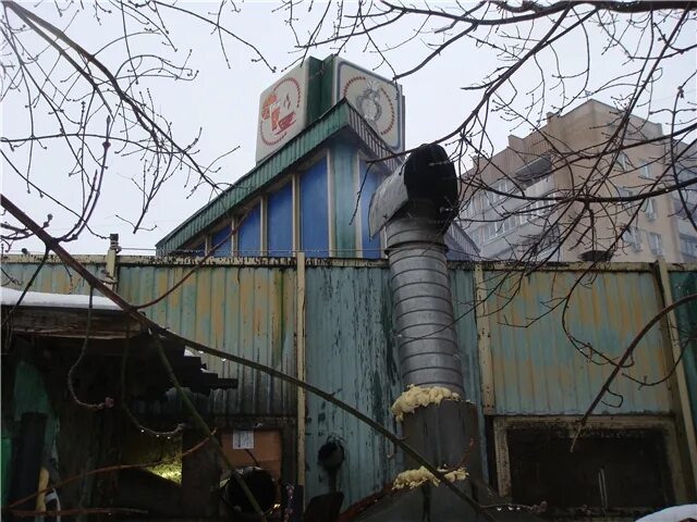 Ул студенческая 9. Кафе с попугаями. Госпиталь зелёный попугай Москва адрес. На Первомайской улицы было кафе попугай фото.