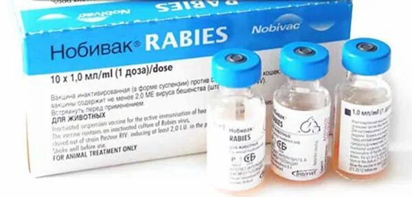 Нобивак Rabies 10 x 1 доз. Вакцина Нобивак Lepto. Вакцина Нобивак Rabies для собак. Нобивак рабиес 10 мл.