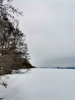Зима в воронеже 2023