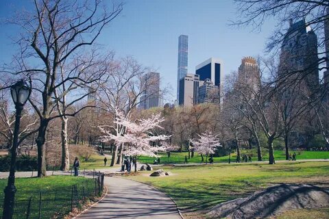 25 park