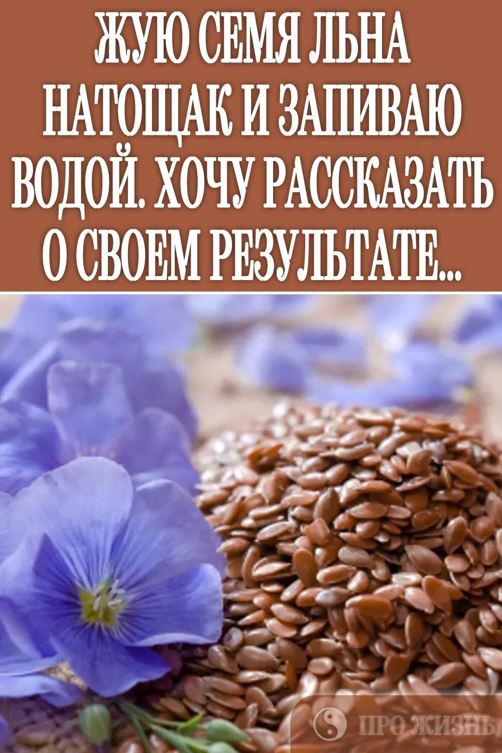 Вред льна для мужчин. Семена льна полезные. Чем полезны семена льна. Семена льна для организма. Лён семя полезные.