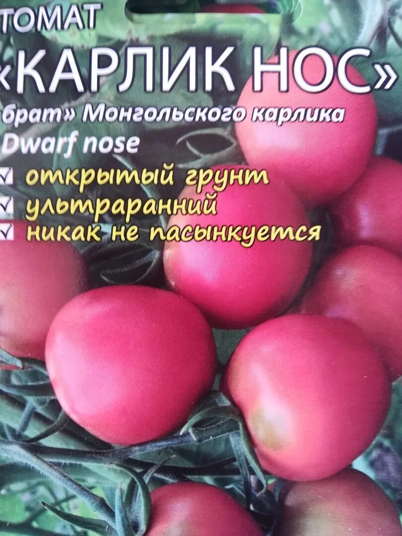 Купить семена томата монгольский. Сорт помидор Монгол карлик. Томат монгольский карлик семена. Сорт томата Монгол карлик. Томат монгольский карлик Мязина.