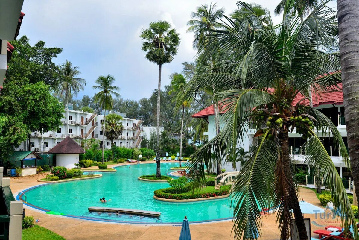 Таиланд отель amora beach. Отель аморе бич резорт пхукет. Amora beach resort 4 пляж банг тао. Amora beach resort phuket 4. Тайланд отель амора бич.
