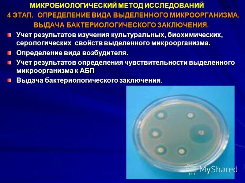 Возбудители после 60. Алгоритм микробиологического исследования биоматериала. Культуральный (бактериологический) метод. Методы исследования микроорганизмов. Методы исследования в микробиологии.