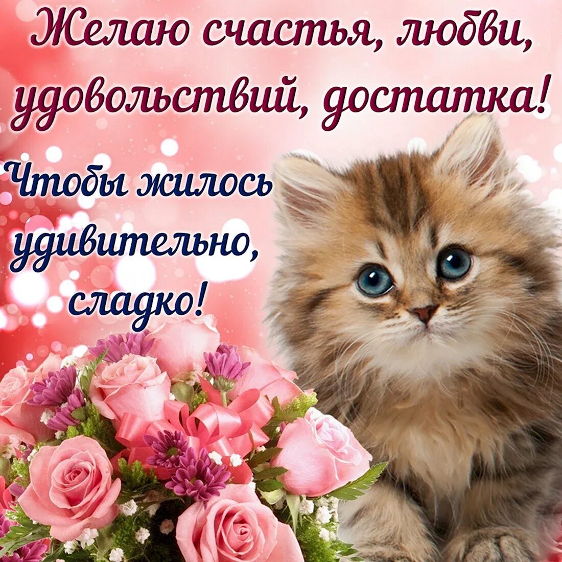 Хорошего дня девушке счастье. Открытки с пожеланиями. открытки с пожелан ями. красивые открытки с пожеланиями. пожелания хорошего настроения.