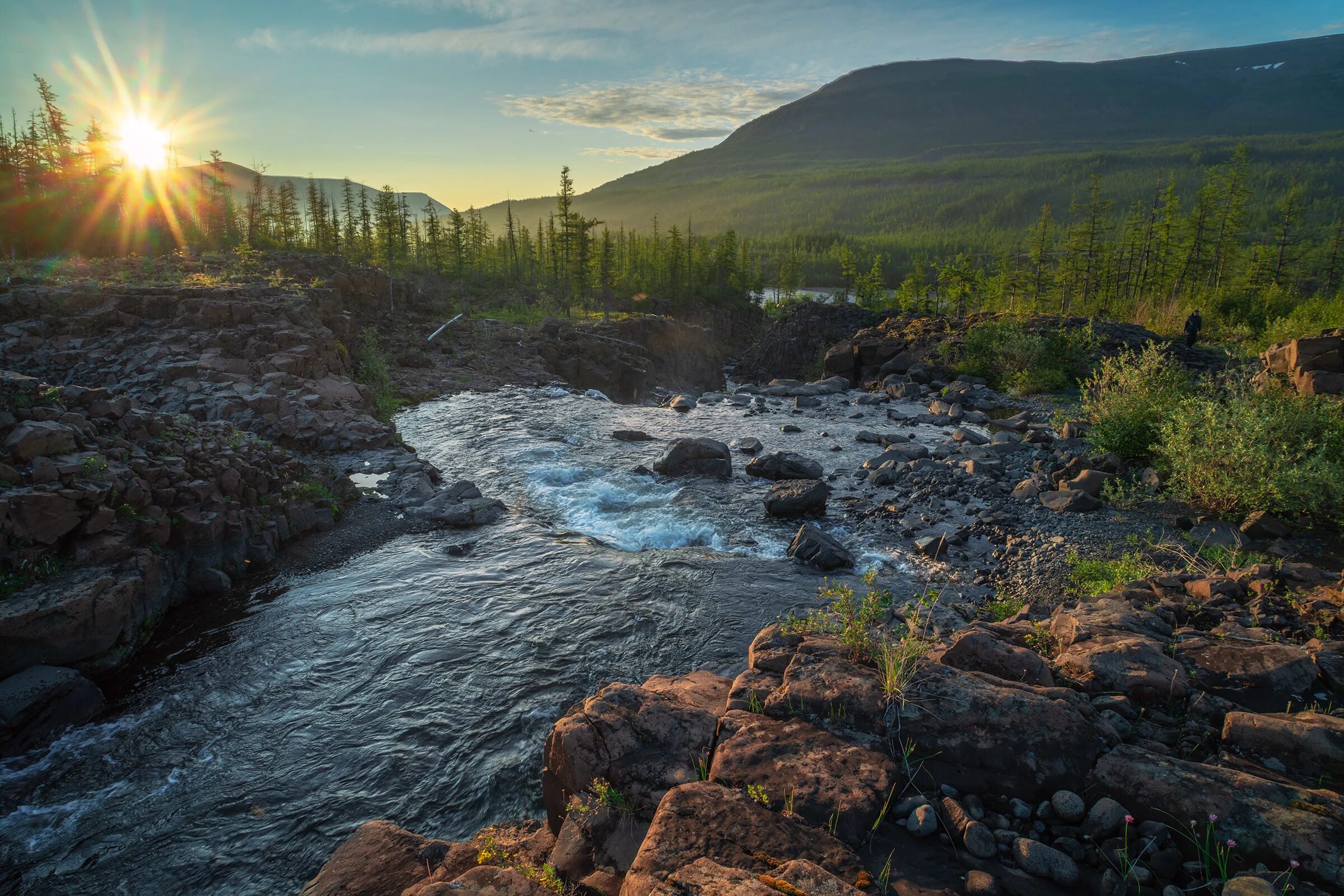 Плато Путорана. Плато Путорана, Сибирь. Таймыр плато Путорана. Плато Путорана природа. Среднесибирское плоскогорье леса