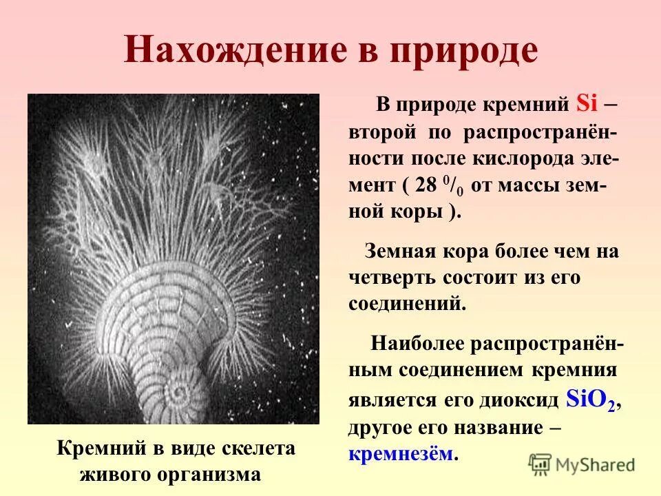 Нахождение в природе кремния. Нахождение соединений кремний в природе. Расположение кремния в природе. Si нахождение в природе.