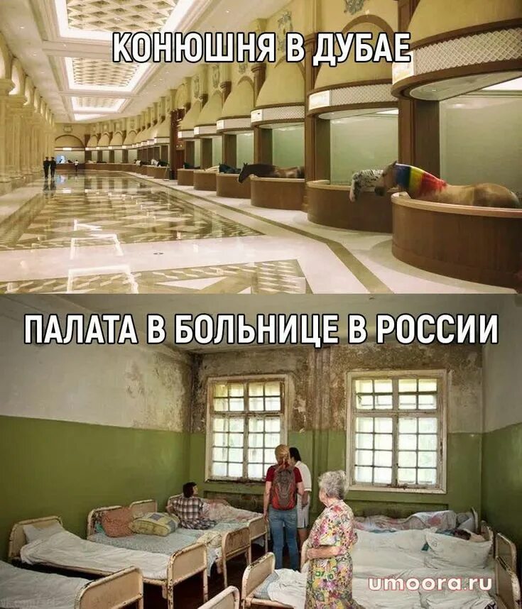 #D2GG4X4 2016 DRIVE2 город Горький ВКонтакте