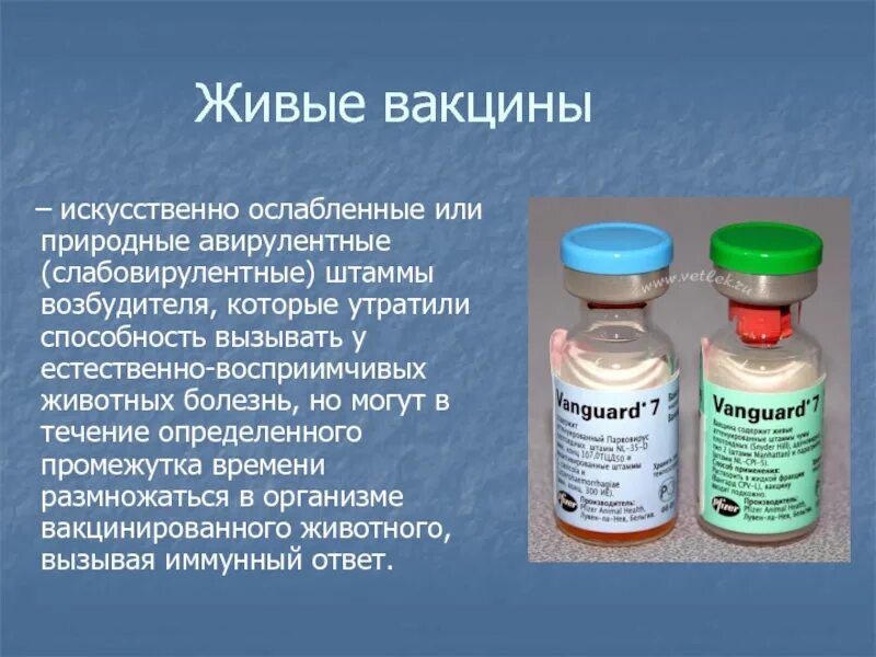 Живые вакцины заболевания. Живые вакцины. Прививка живыми вакцинами. Живые ослабленные вакцины. Живыми вакцинами являются:.