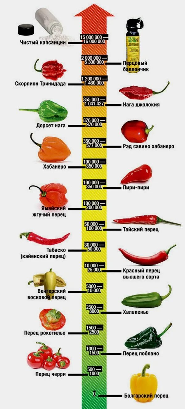 Сколько можно собрать перца. Хабанеро перец шкала остроты. Таблица перцев по Сковиллу. Острота перца халапеньо по шкале Сковилла. Градация перцев по жгучести.