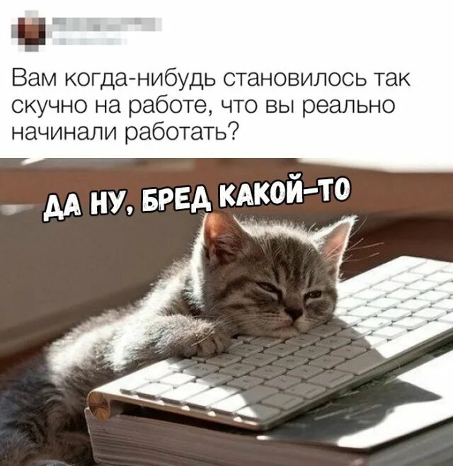 Скучно давай что нибудь. Скучно давай что нибудь