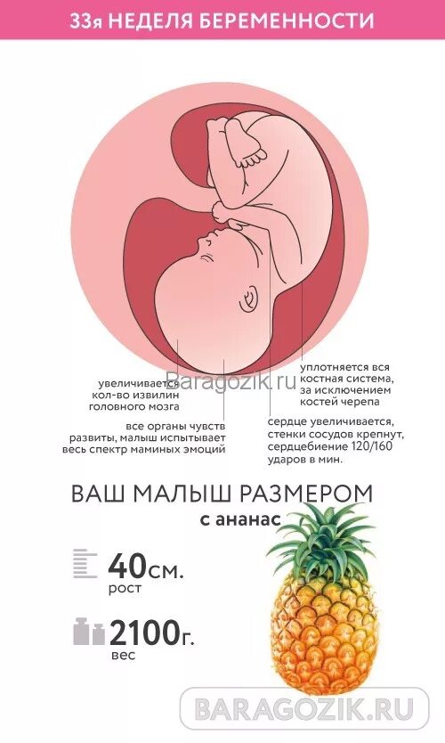 Вес ребенка на 33 неделе. 33 Недели беременности вес и плод ребенка. Вес ребёнка в 34 недели беременности норма при беременности. Вес плода в 34 недели беременности норма. Вес плода неделям в 33_34 недели.