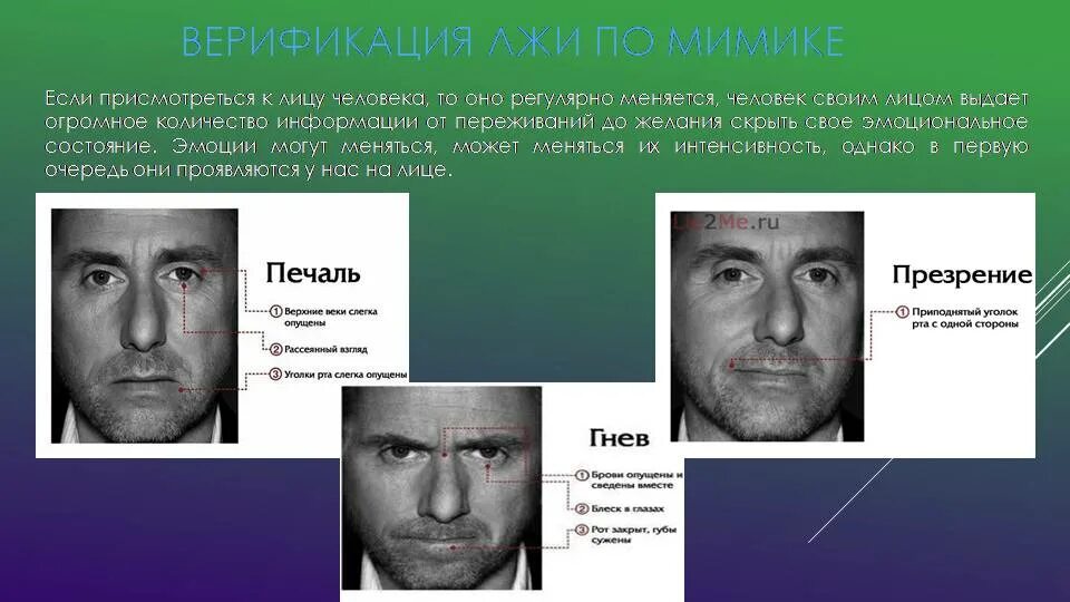 Что можно понять по мимике. Распознавание лжи по мимике. эмоции человека по мимике. ложь по мимике. мимика лжи по лицу.