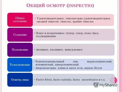 Находясь в удовлетворительном состоянии