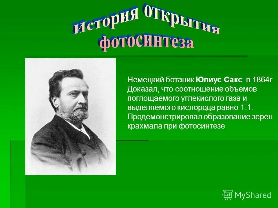 изучение процесса фотосинтеза. ученый открывший фотосинтез. жан сенебье фотосинтез. какие ученые изучали фотосинтез. какие ученые изучали фотосинтез.