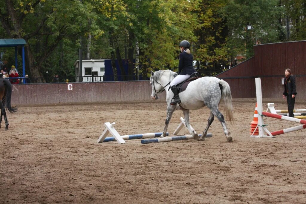 Конюшни в филёвском парке. Конный клуб фили. Конный клуб фили. Детский парк фили конюшня. Вднх конноспортивный манеж.