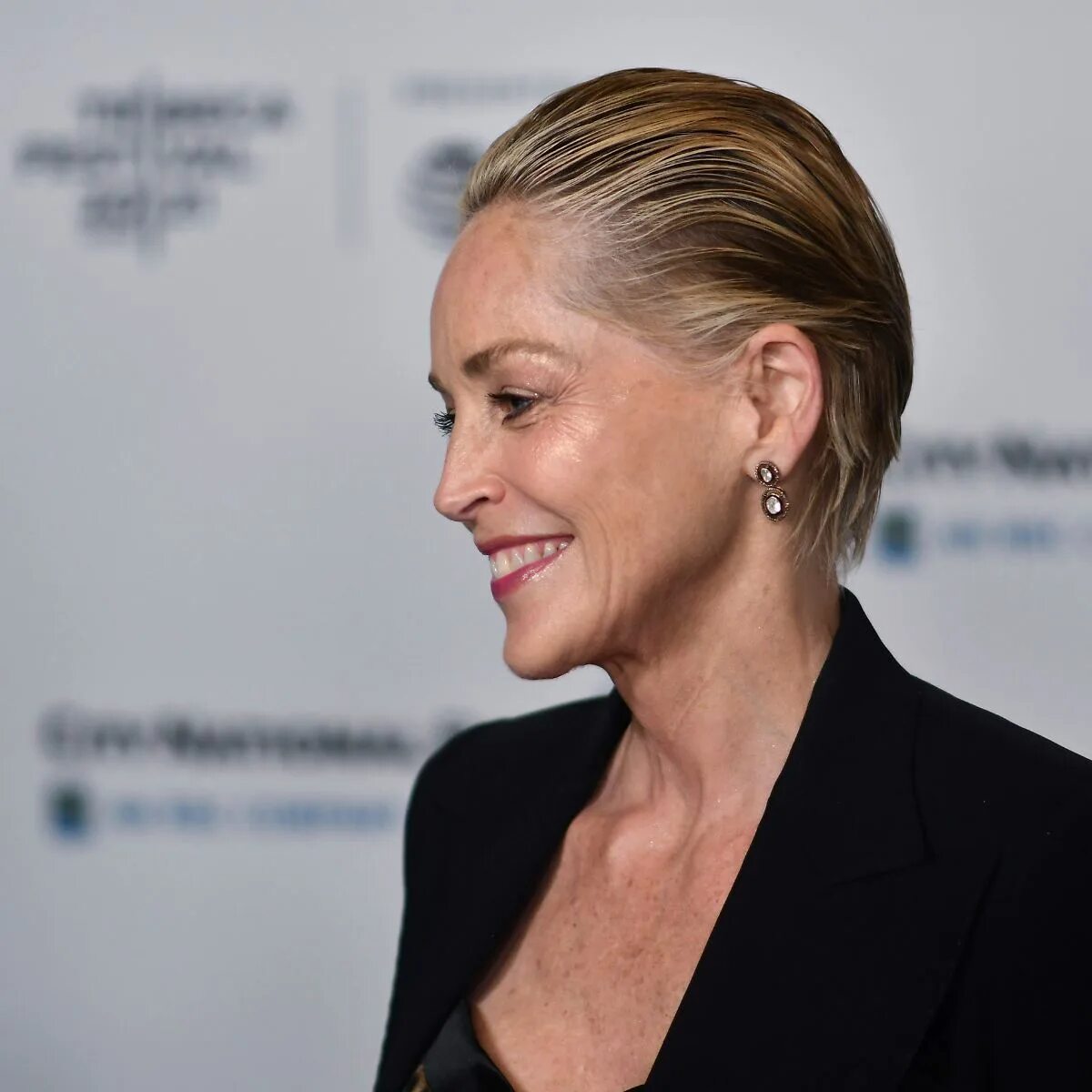 Шэрон стоун фото. Шэрон стоун сейчас 2022. Шэрон стоун фото 2022. Шэрон стоун самый. Шэрон стоун.